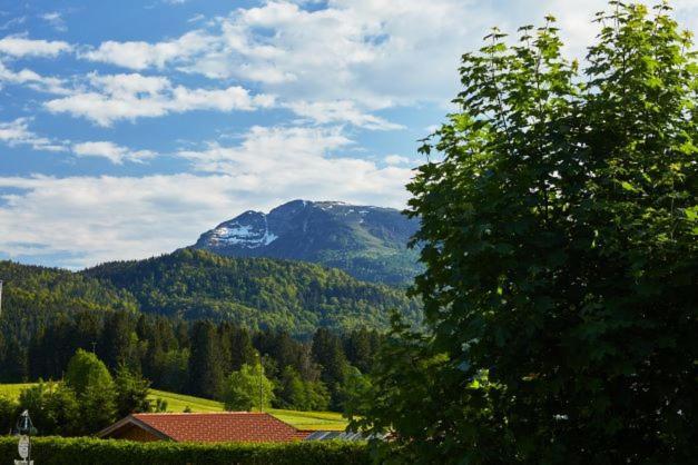 Haus Almrose Villa Reit im Winkl Exteriör bild
